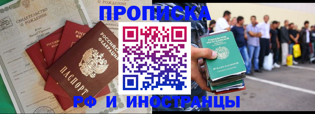 прописка в квартире в Звенигово